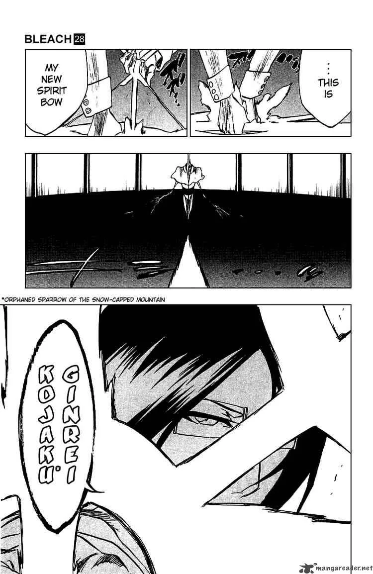 Bleach Chapter 243 page 8