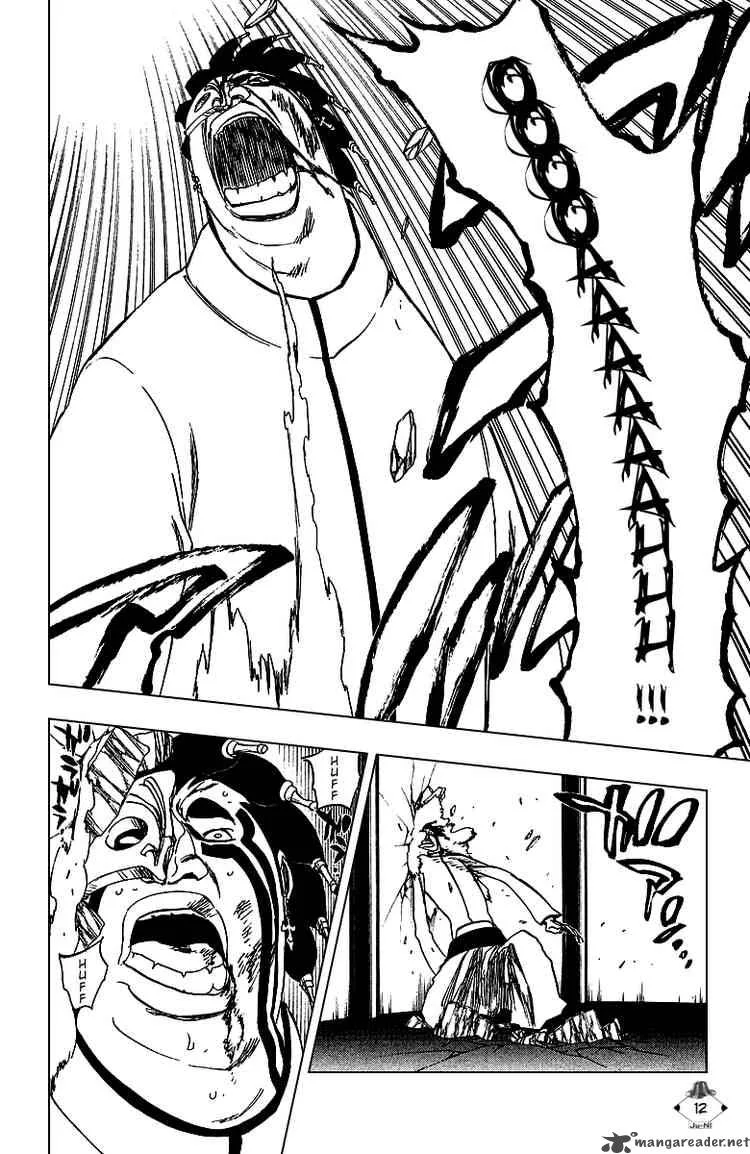 Bleach Chapter 243 page 11