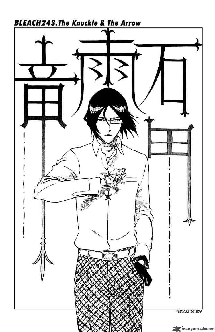 Bleach Chapter 243 page 10