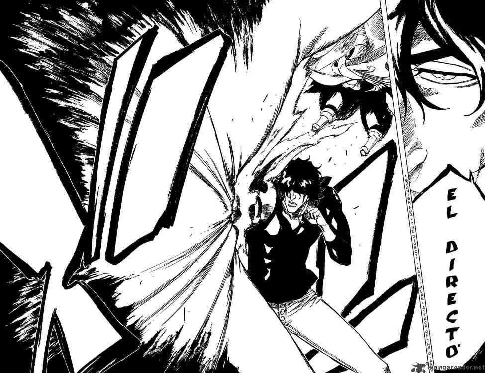 Bleach Chapter 243 page 23