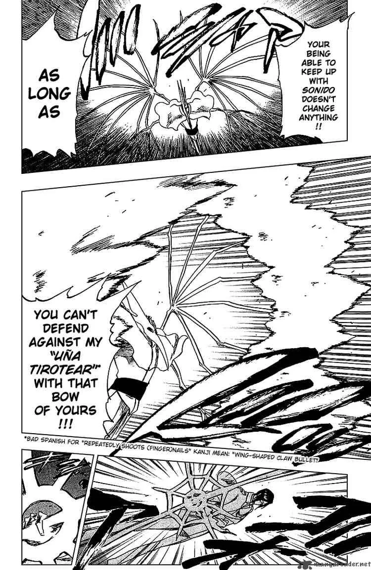 Bleach Chapter 243 page 17