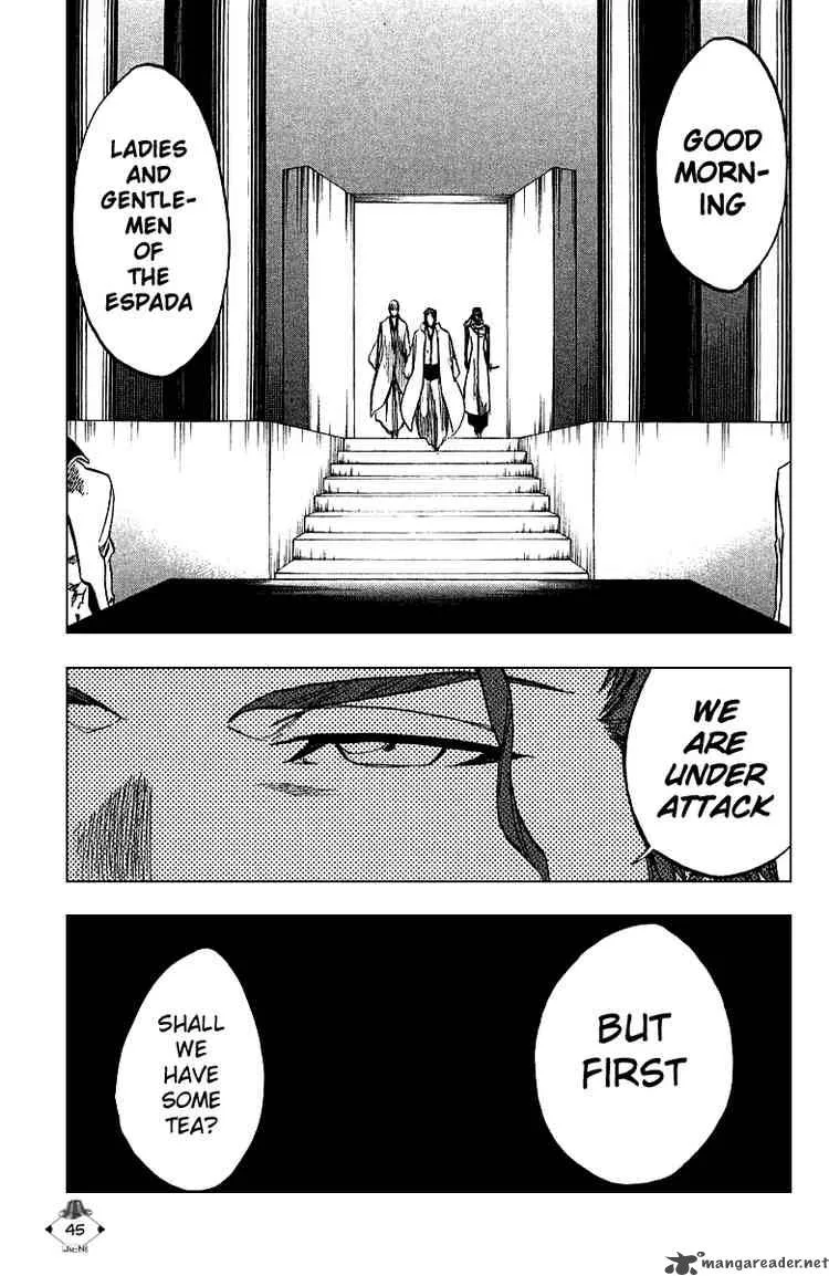 Bleach Chapter 244 page 17