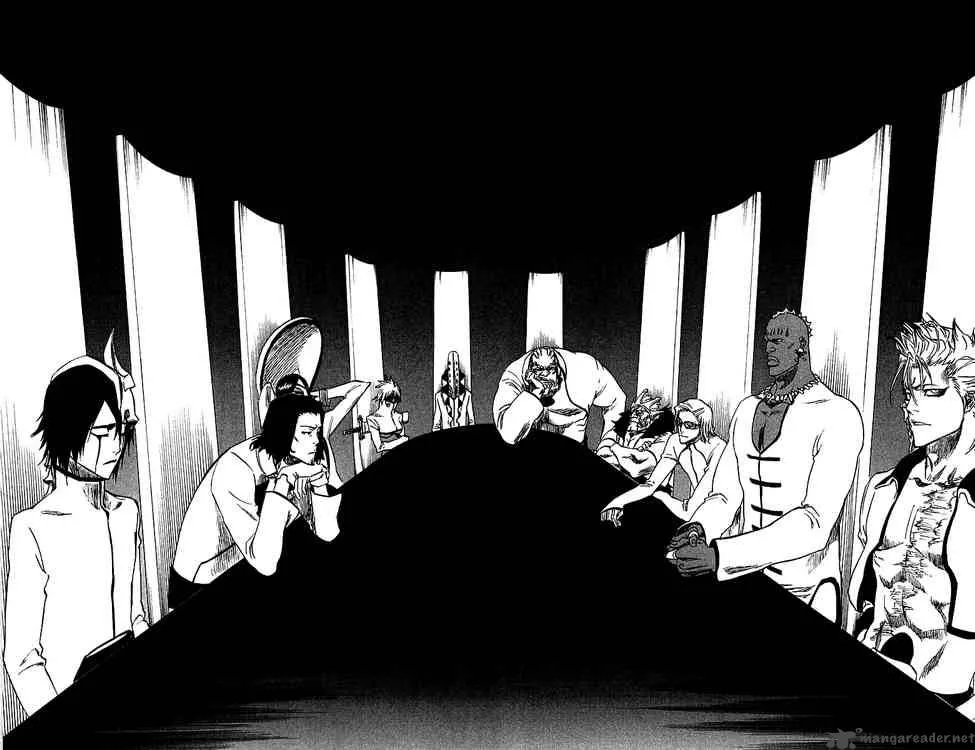 Bleach Chapter 244 page 15