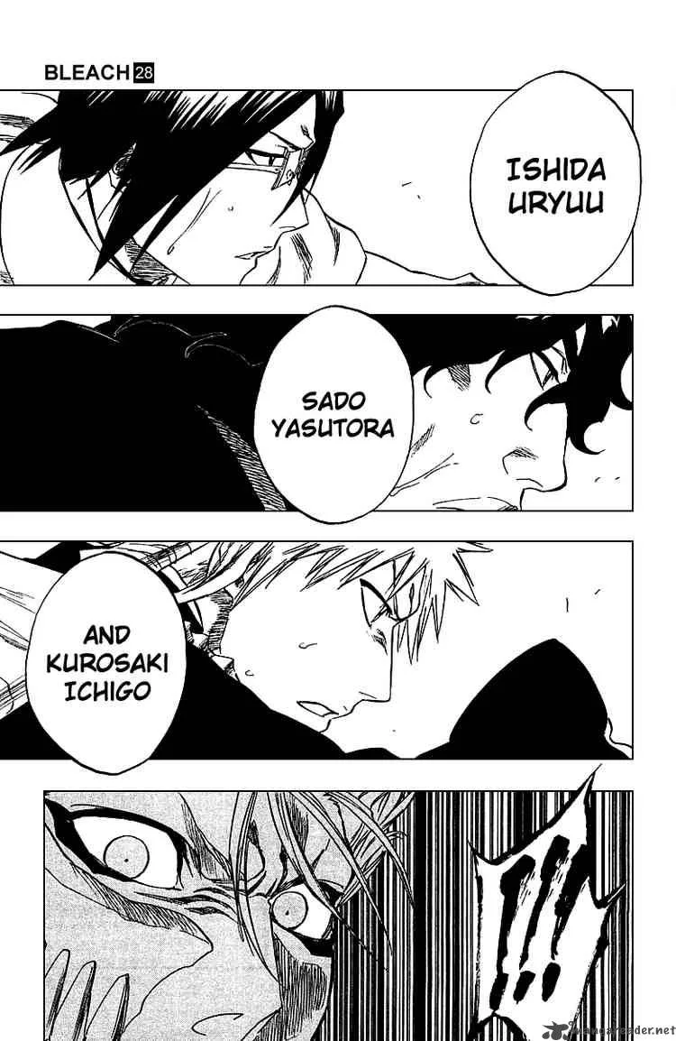 Bleach Chapter 245 page 4