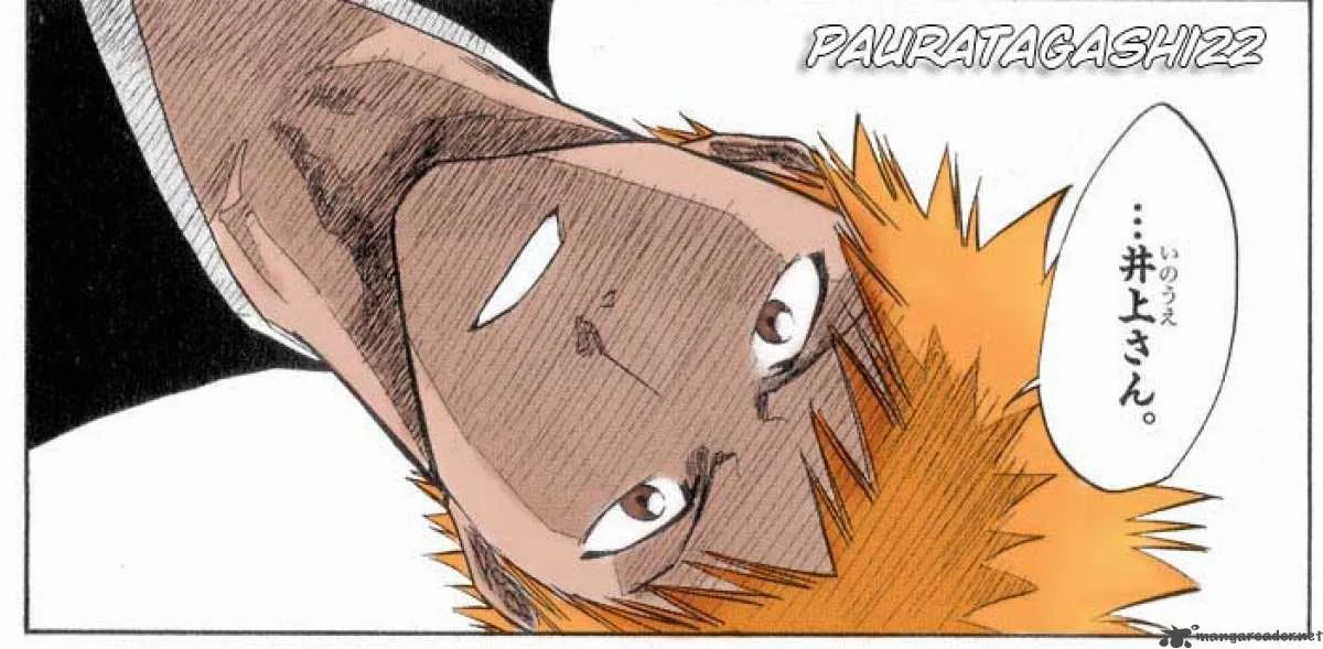 Bleach Chapter 246 page 24