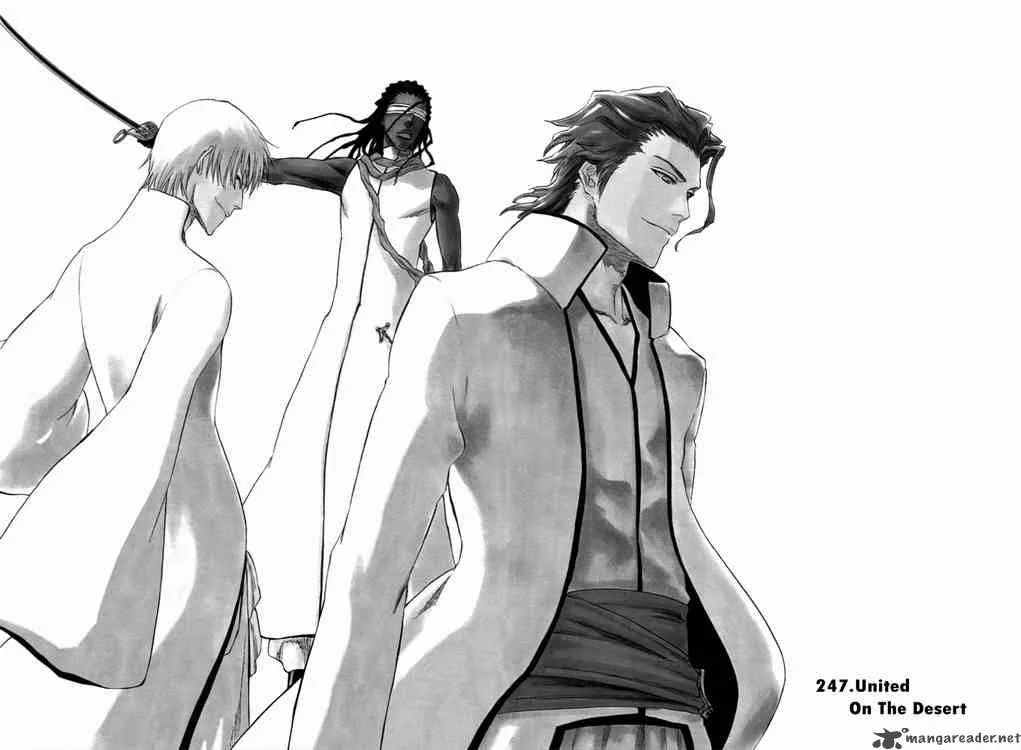 Bleach Chapter 247 page 3