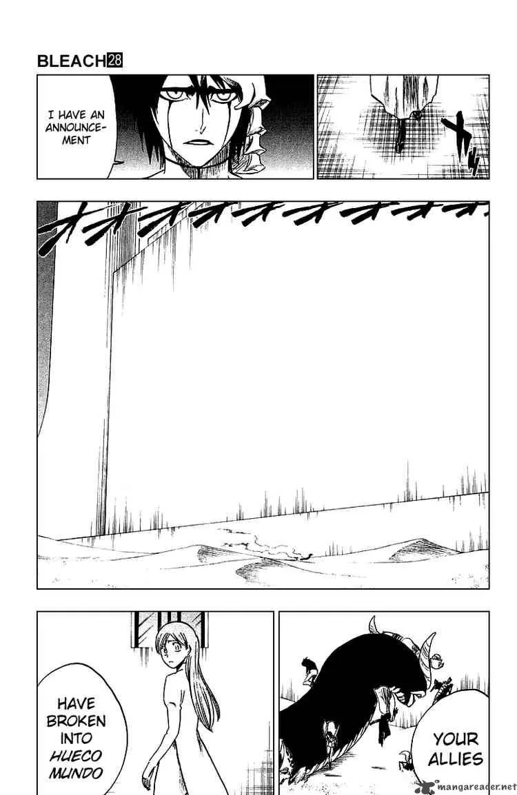Bleach Chapter 247 page 17