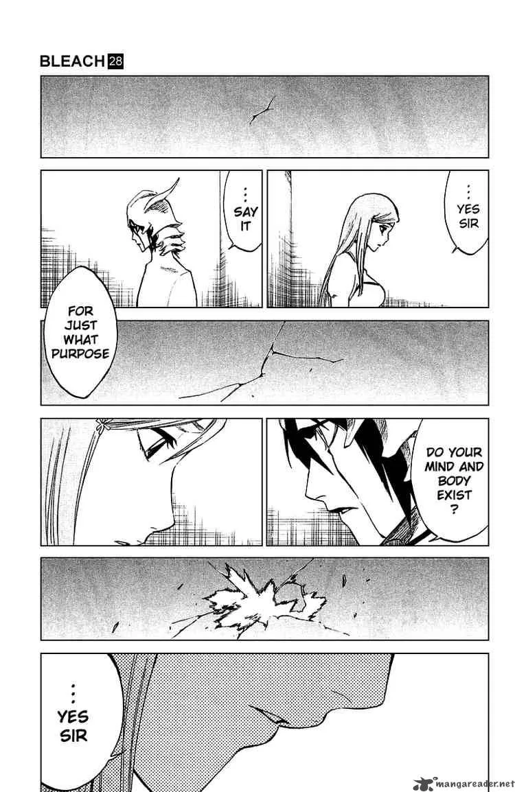 Bleach Chapter 248 page 3