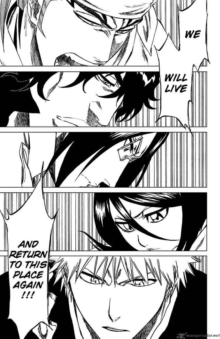 Bleach Chapter 248 page 17