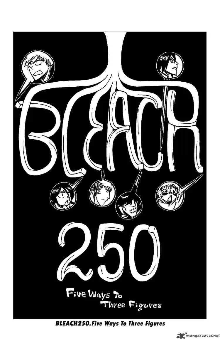 Bleach Chapter 250 page 3