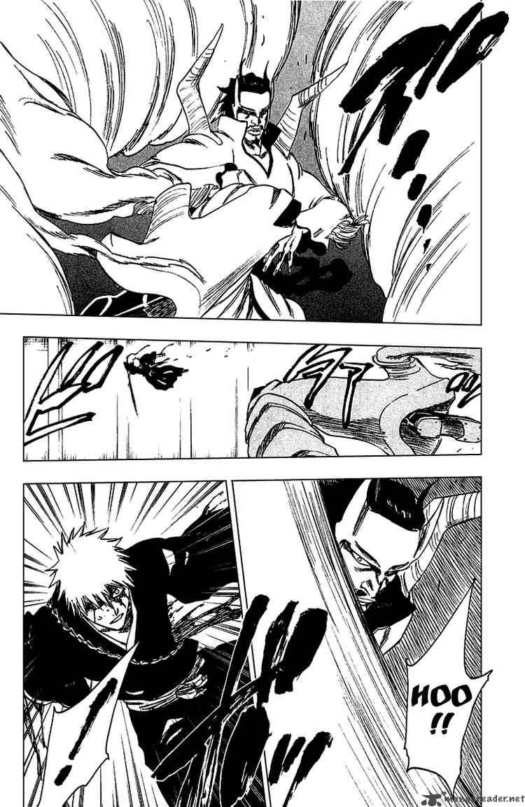 Bleach Chapter 251 page 17