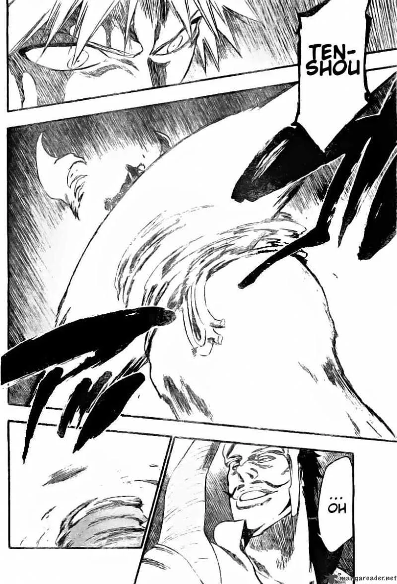 Bleach Chapter 252 page 8