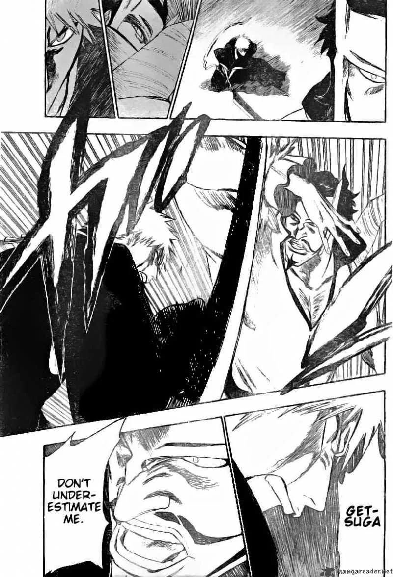 Bleach Chapter 252 page 9