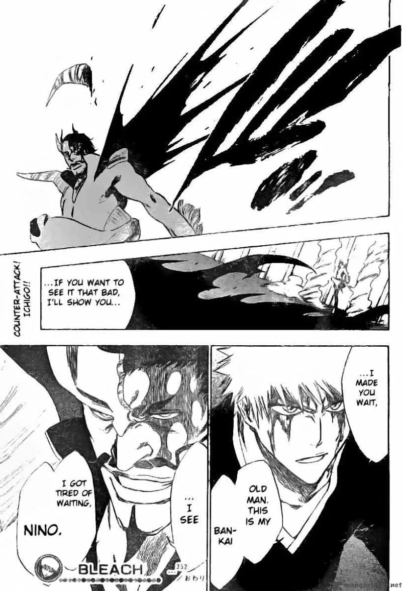 Bleach Chapter 252 page 20