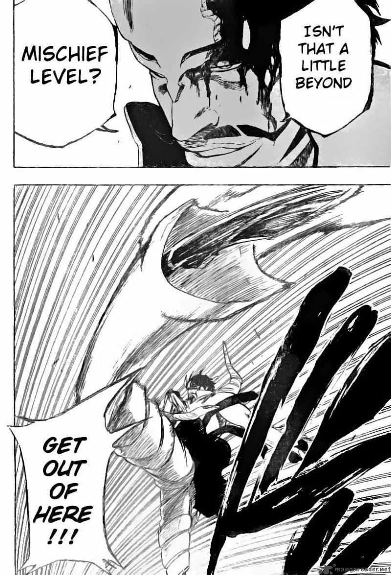 Bleach Chapter 252 page 17