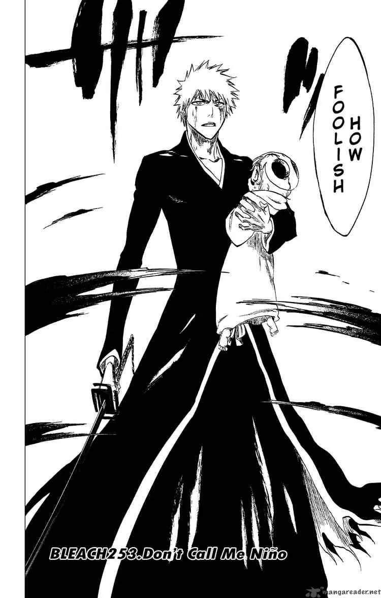 Bleach Chapter 253 page 2