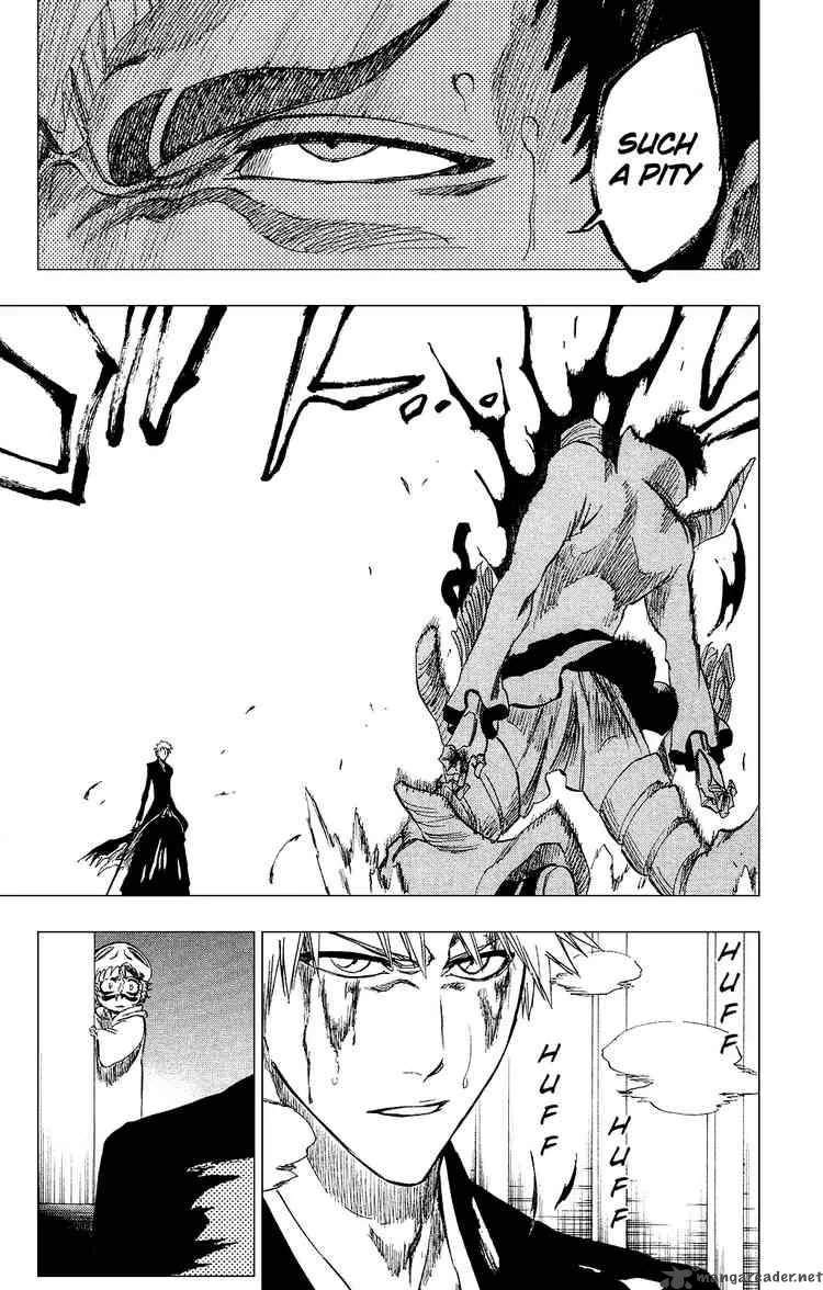Bleach Chapter 253 page 19