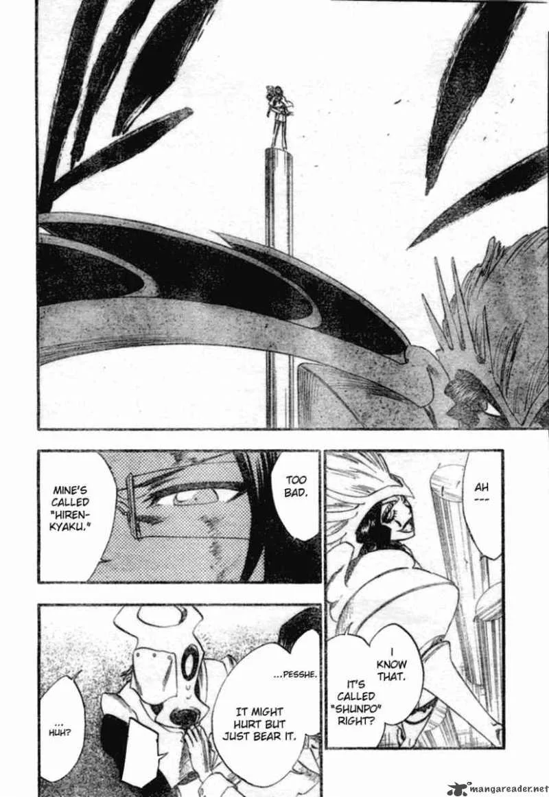 Bleach Chapter 257 page 11
