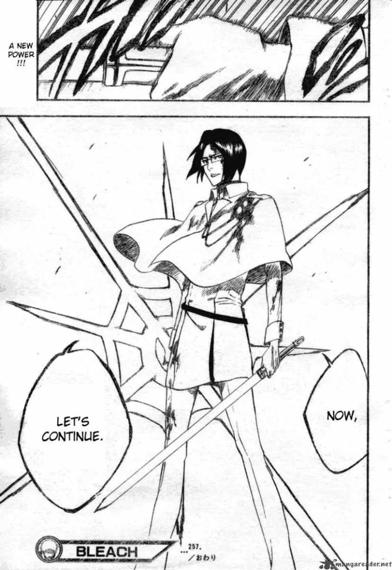 Bleach Chapter 257 page 20
