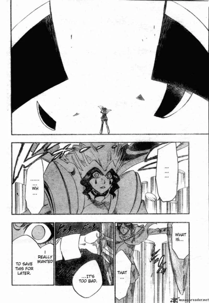 Bleach Chapter 257 page 19