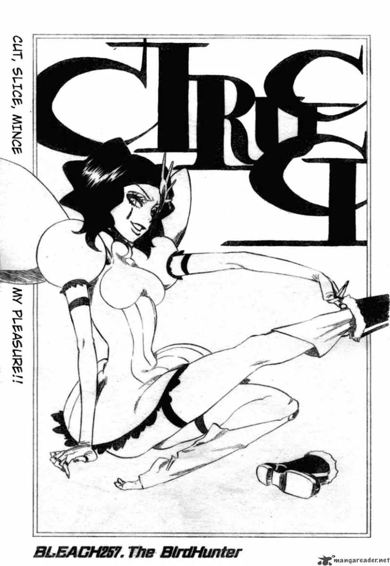 Bleach Chapter 257 page 4