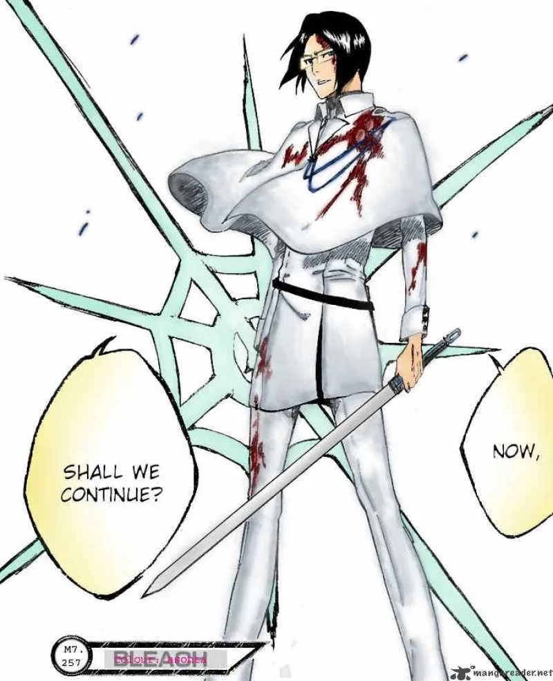 Bleach Chapter 258 page 23