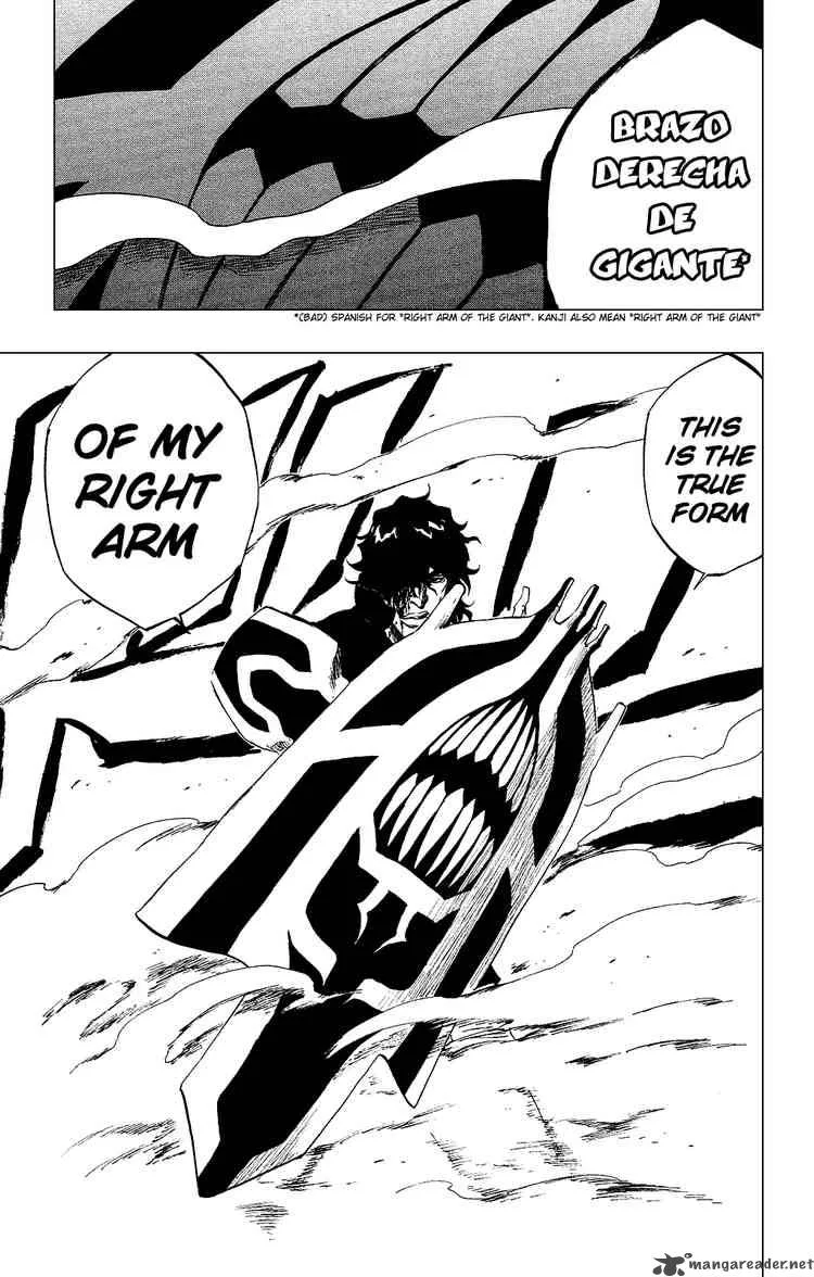 Bleach Chapter 259 page 19