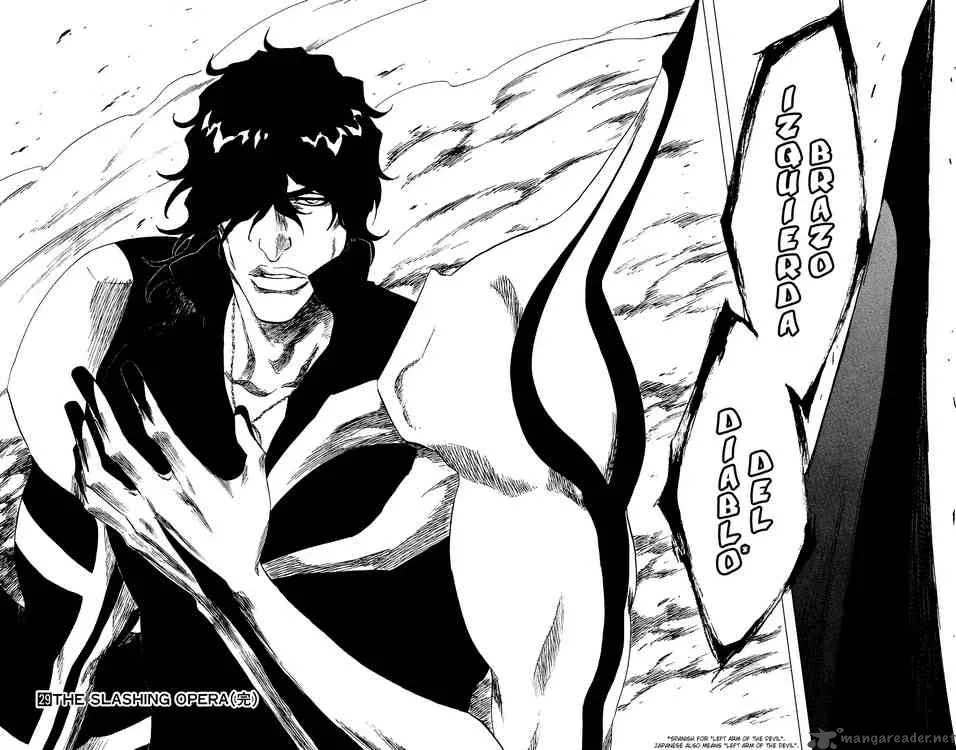 Bleach Chapter 260 page 18