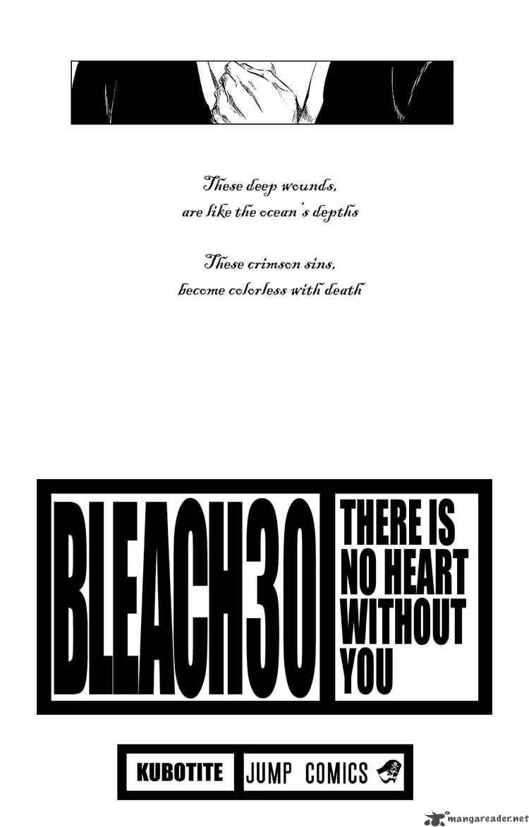 Bleach Chapter 261 page 3