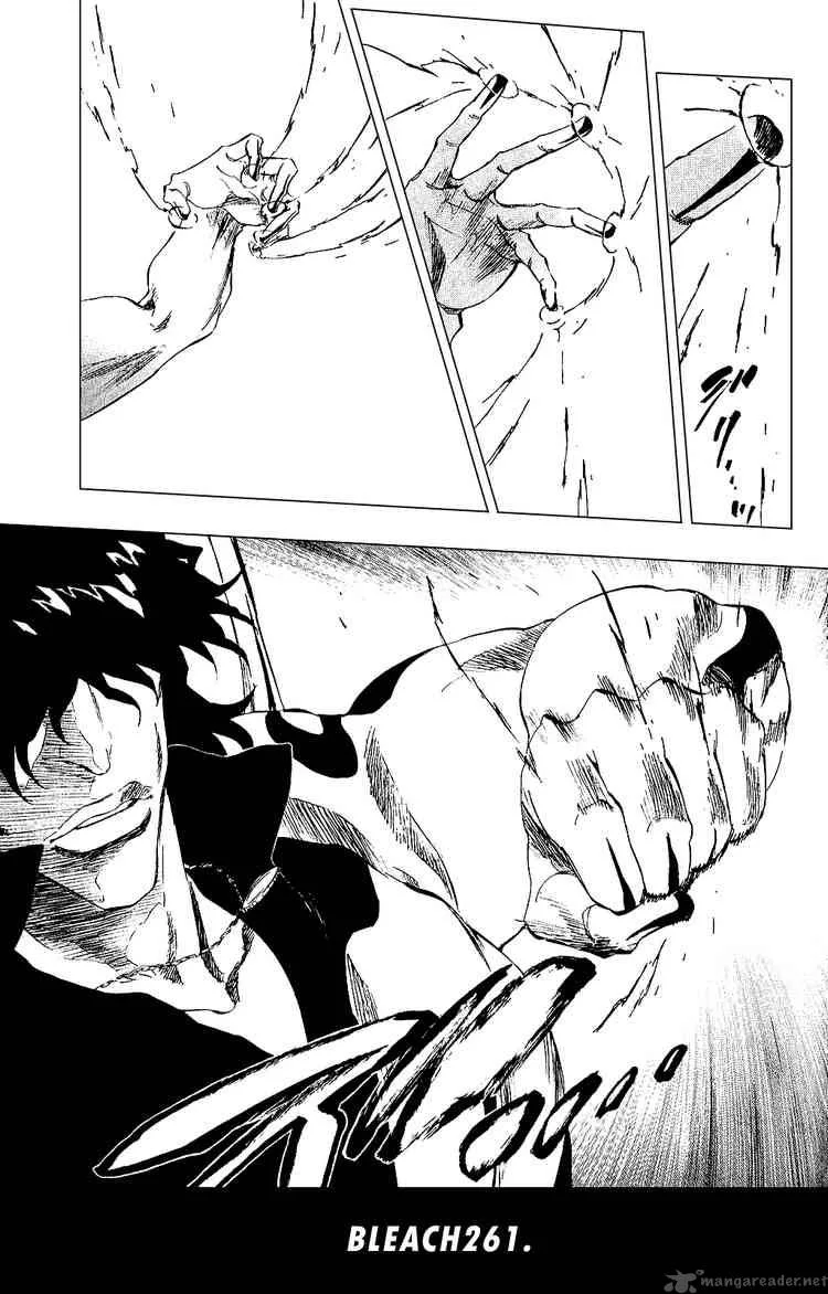 Bleach Chapter 261 page 14