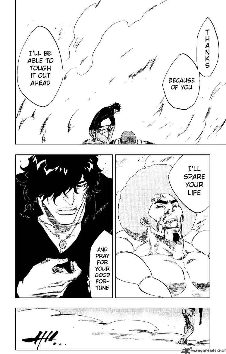 Bleach Chapter 261 page 19