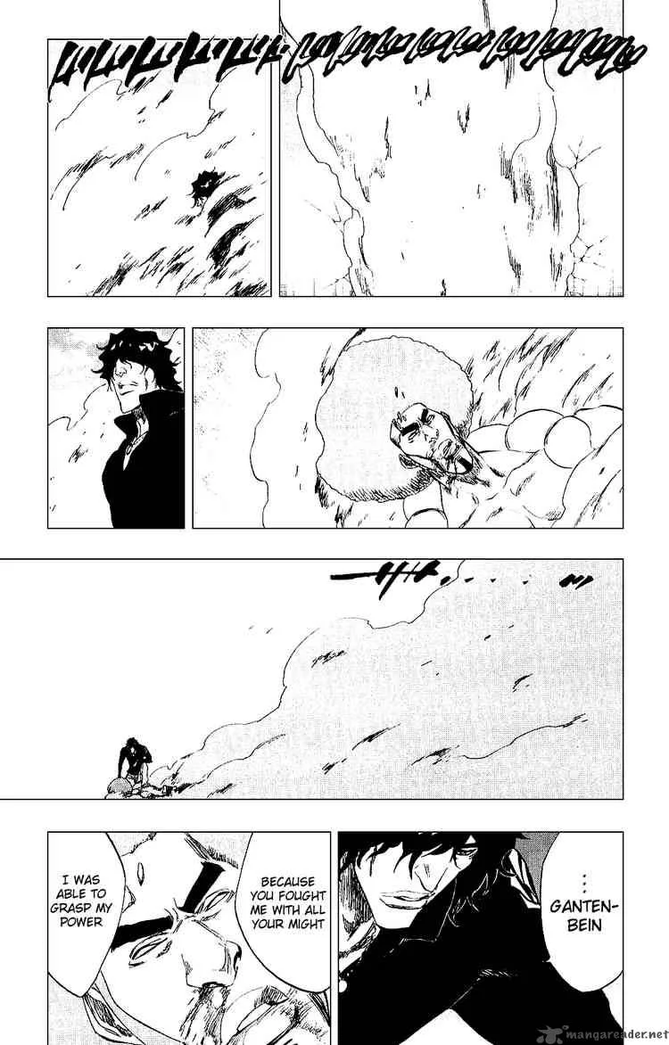 Bleach Chapter 261 page 18