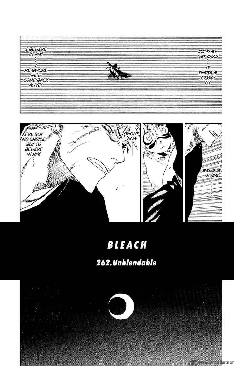 Bleach Chapter 262 page 5