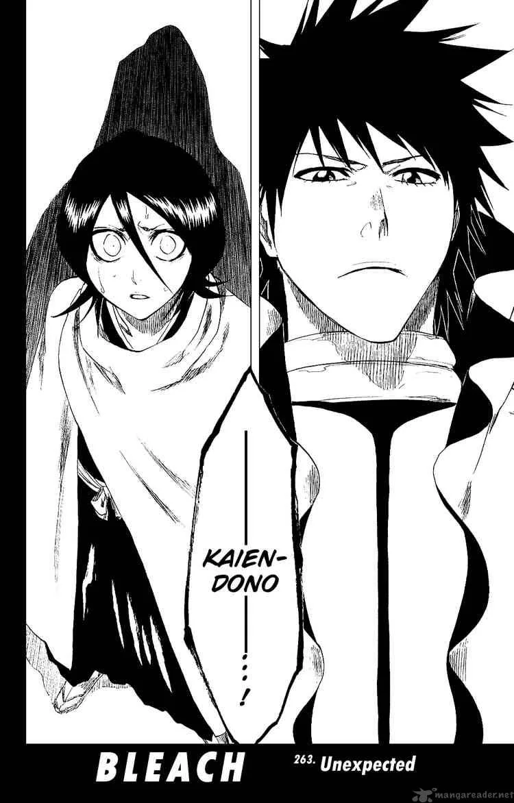 Bleach Chapter 263 page 2
