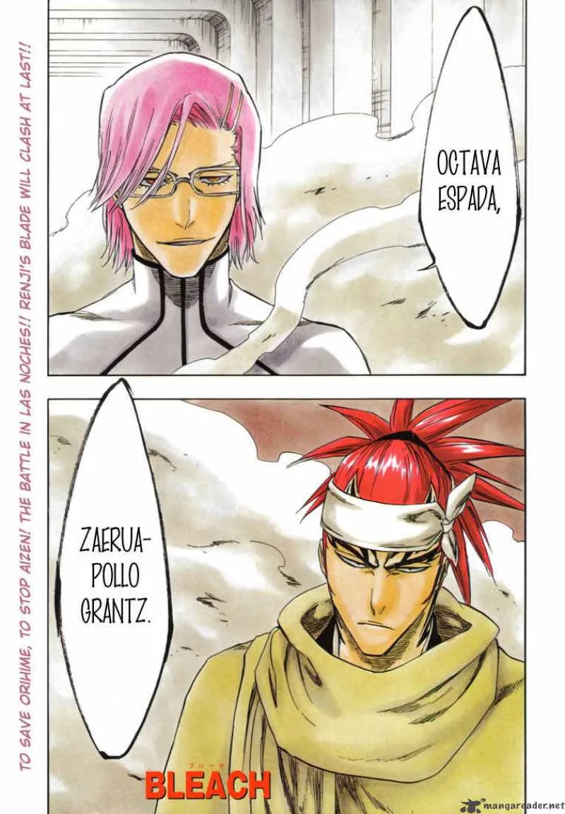 Bleach Chapter 265 page 2