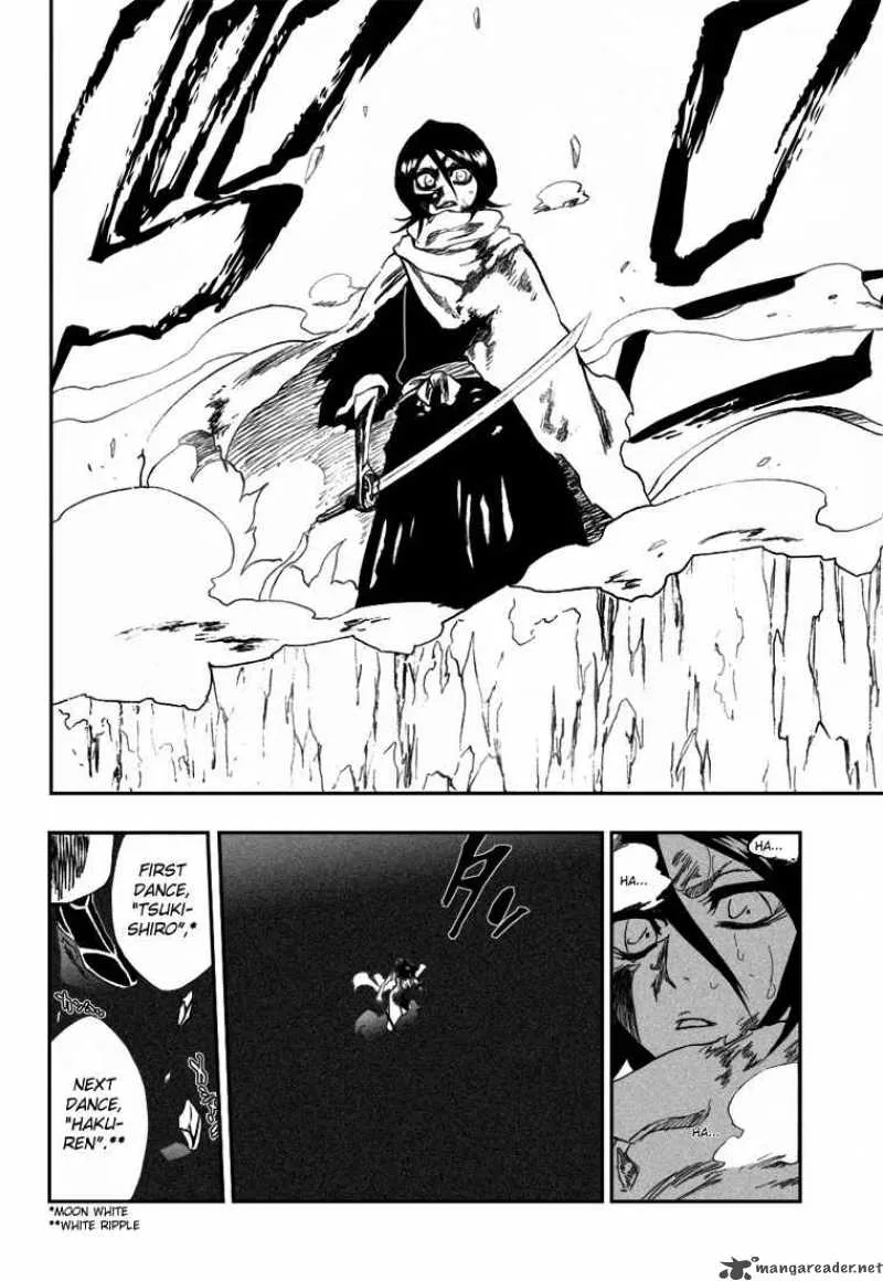 Bleach Chapter 265 page 17