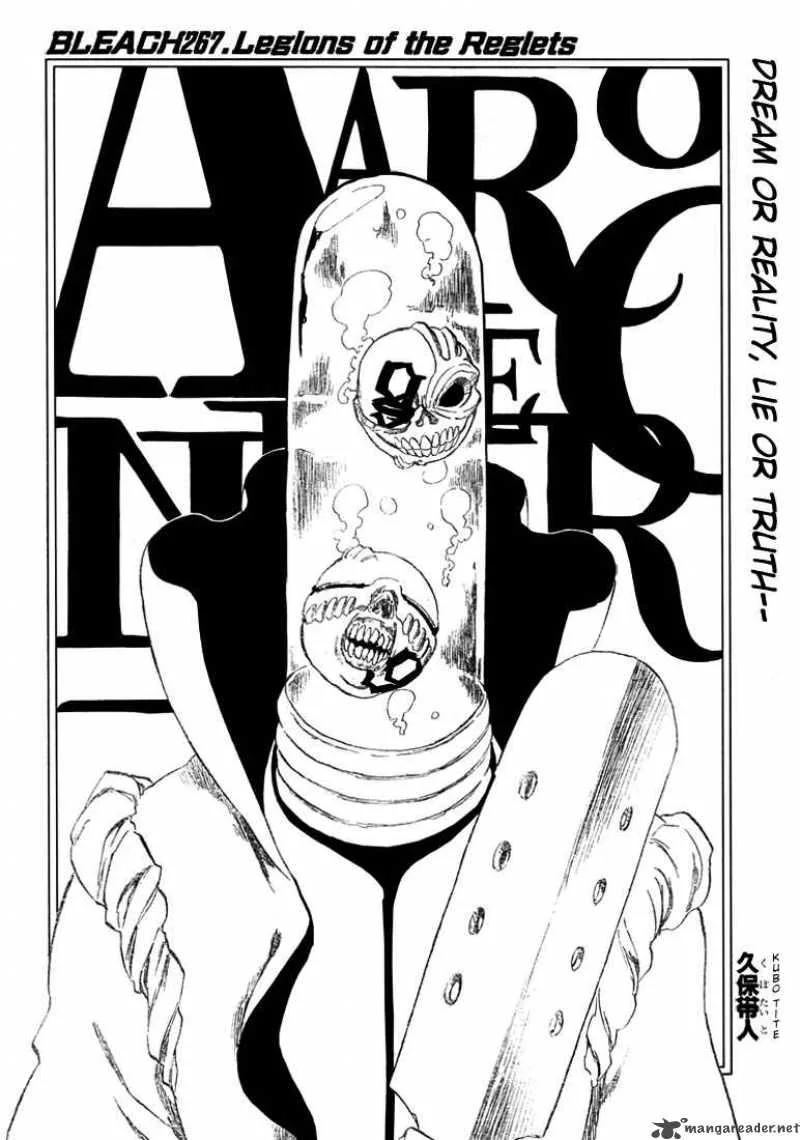 Bleach Chapter 267 page 3