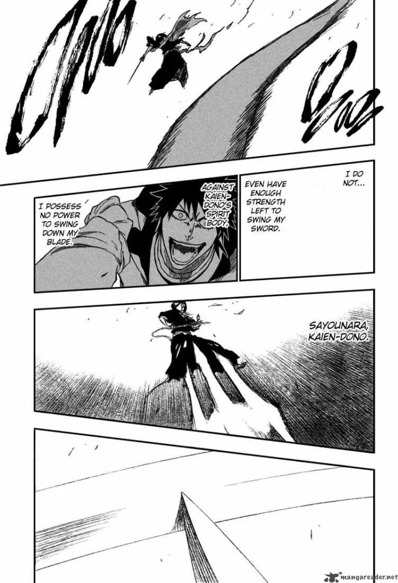 Bleach Chapter 267 page 17