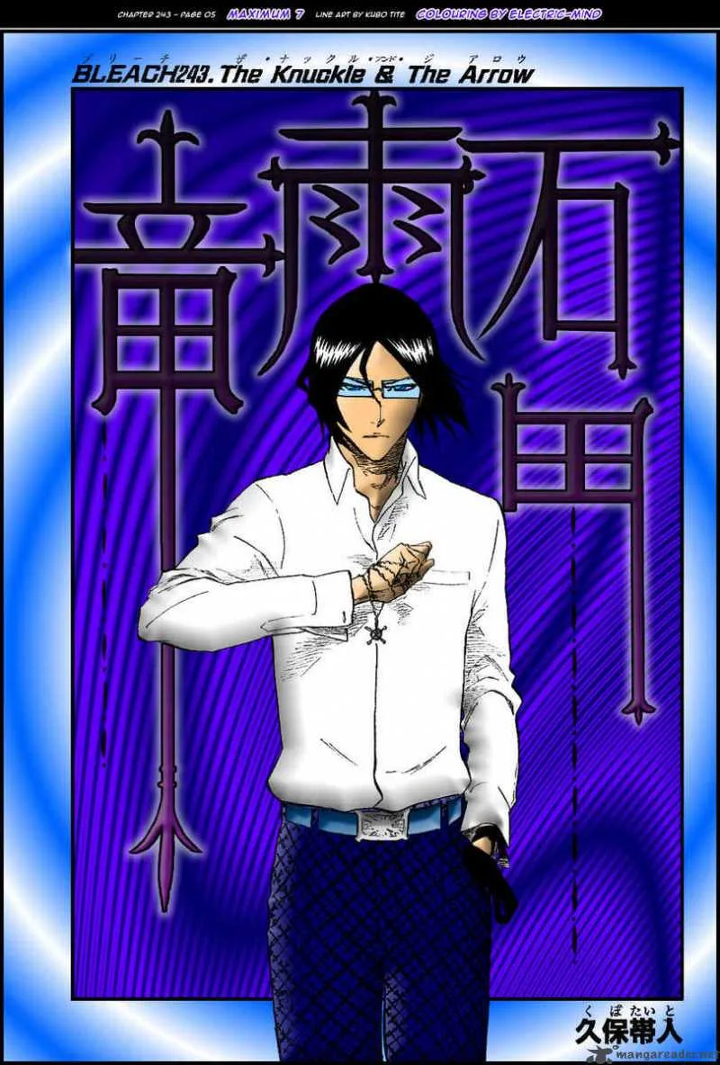Bleach Chapter 269 page 24