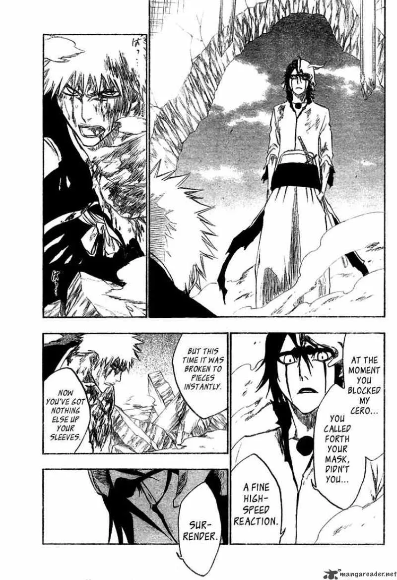 Bleach Chapter 271 page 14