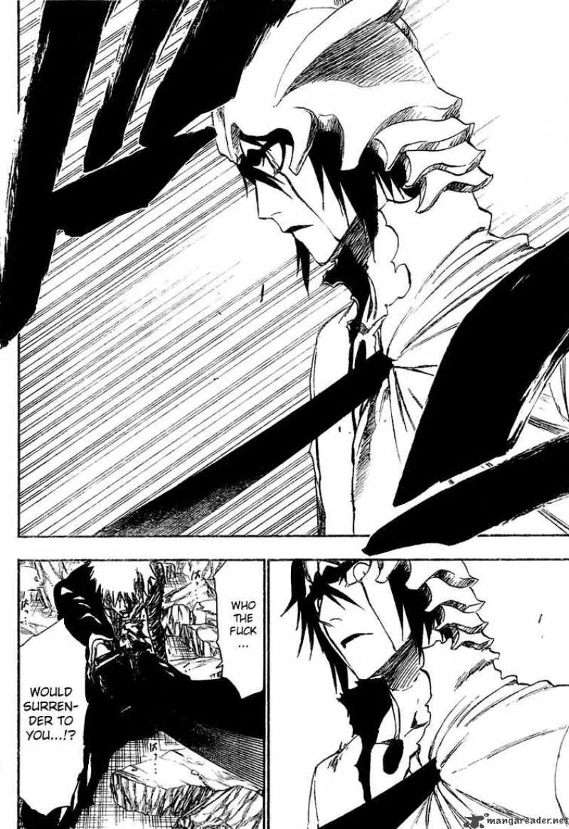 Bleach Chapter 271 page 15