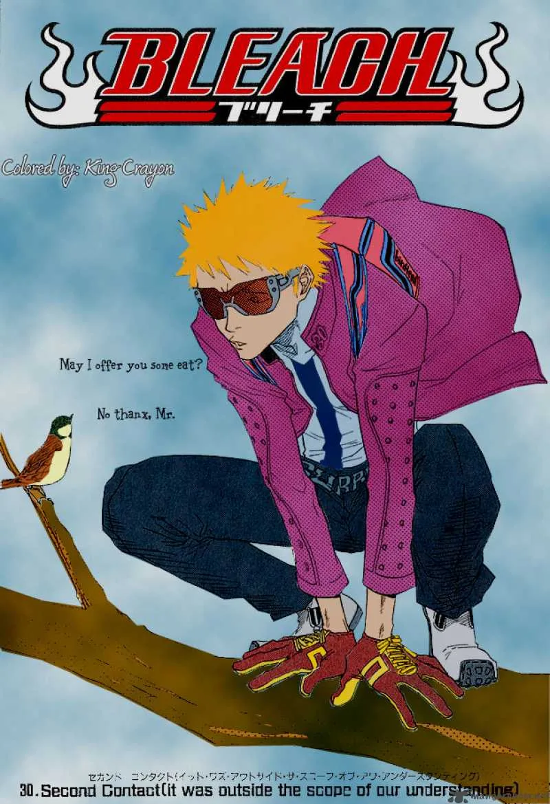 Bleach Chapter 271 page 22