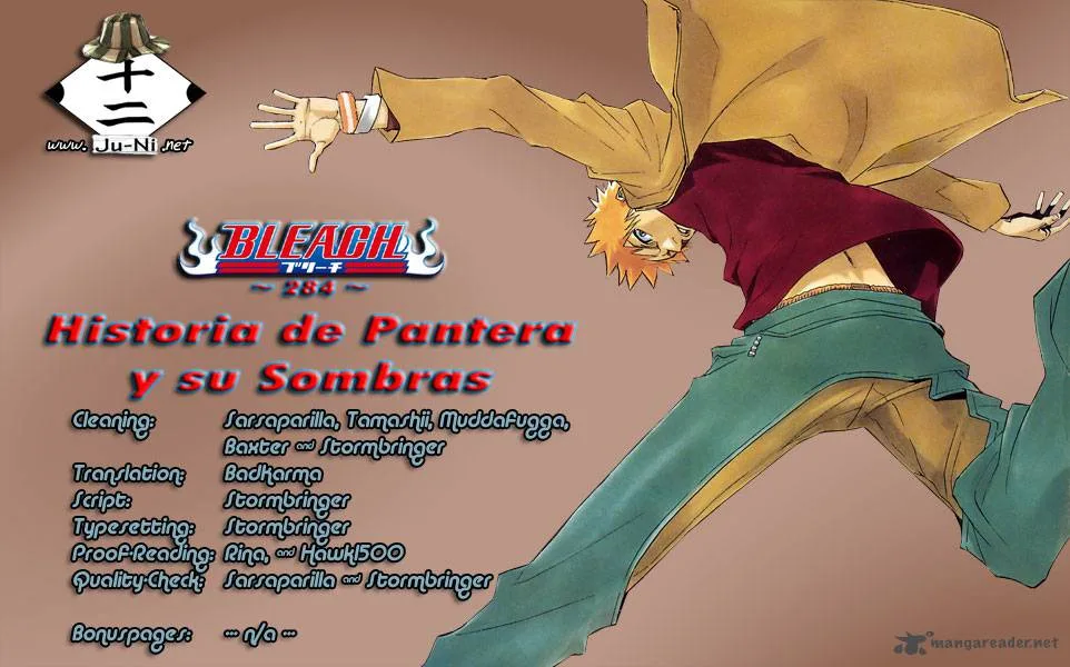 Bleach Chapter 284 page 1