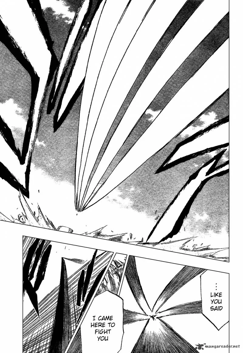 Bleach Chapter 285 page 18