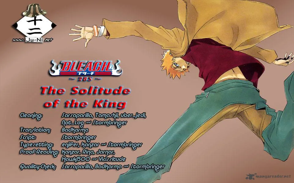 Bleach Chapter 285 page 1