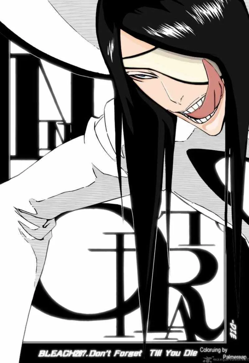 Bleach Chapter 288 page 21