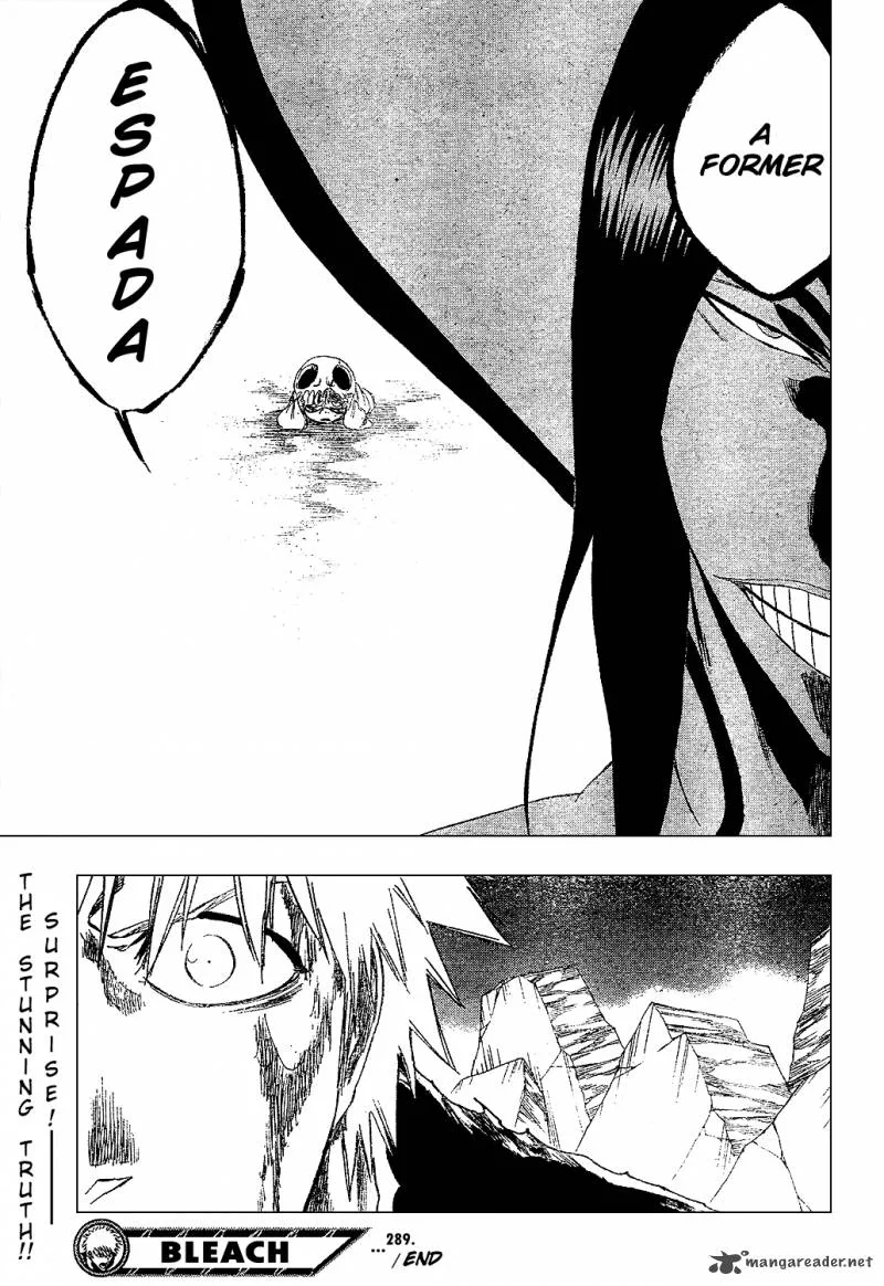Bleach Chapter 289 page 21