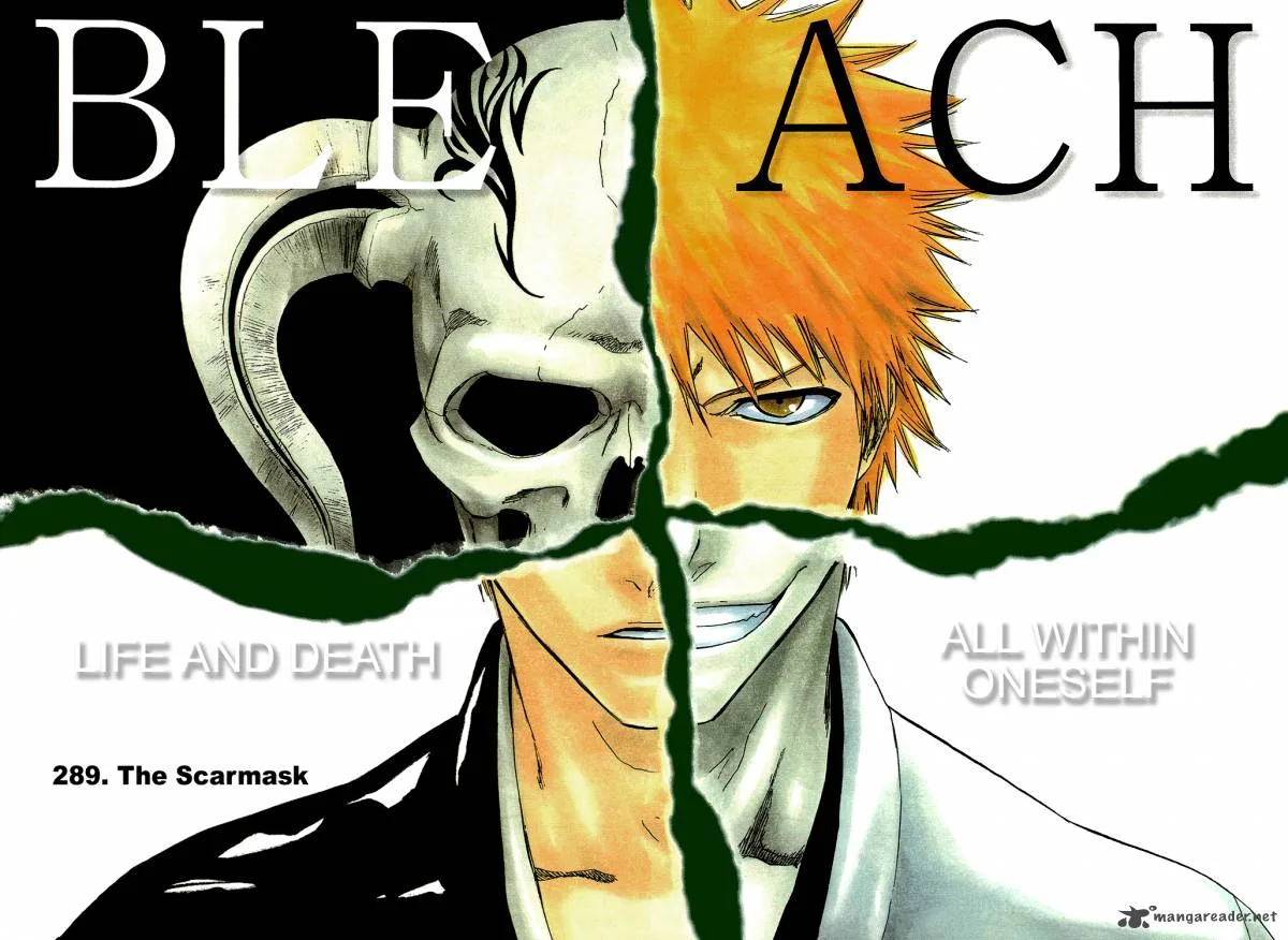 Bleach Chapter 289 page 4