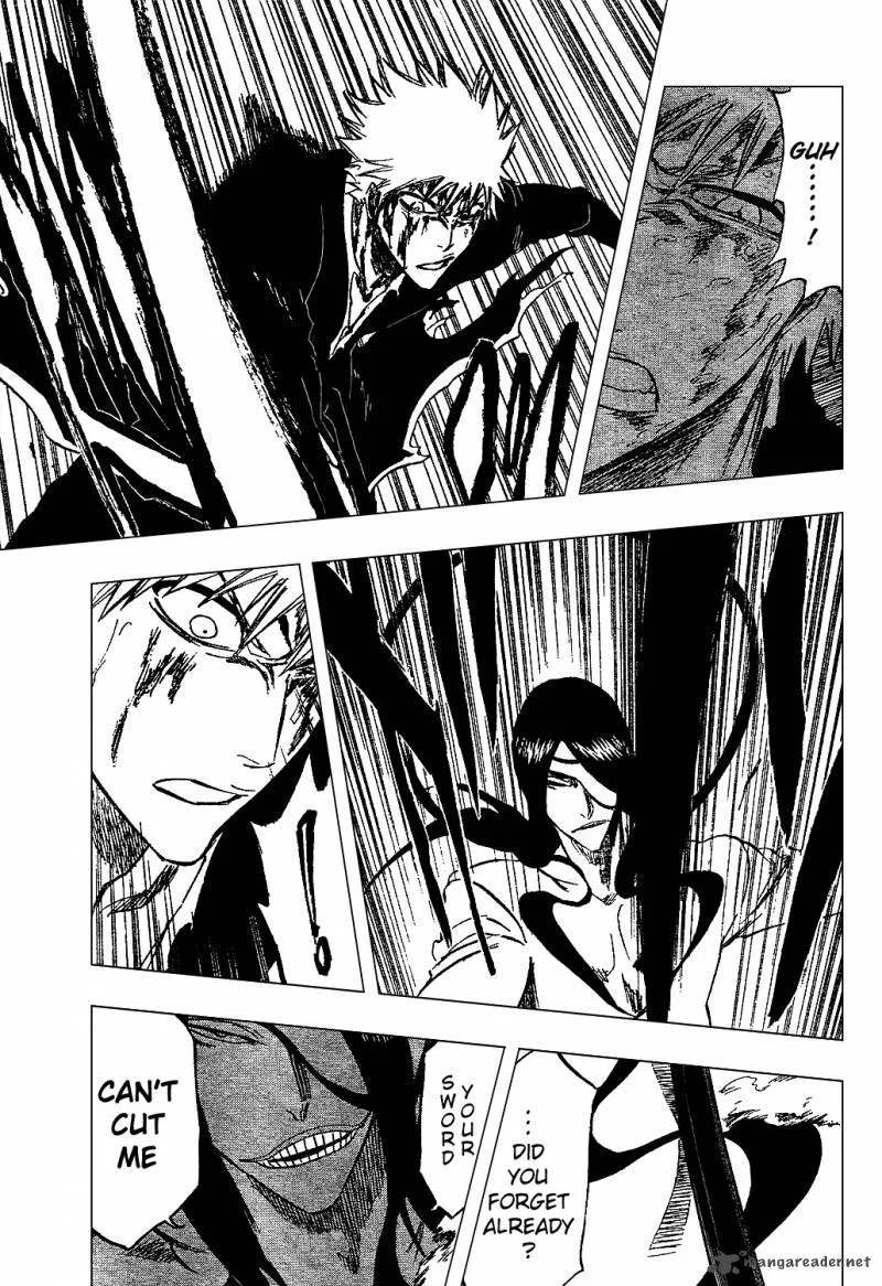 Bleach Chapter 290 page 14