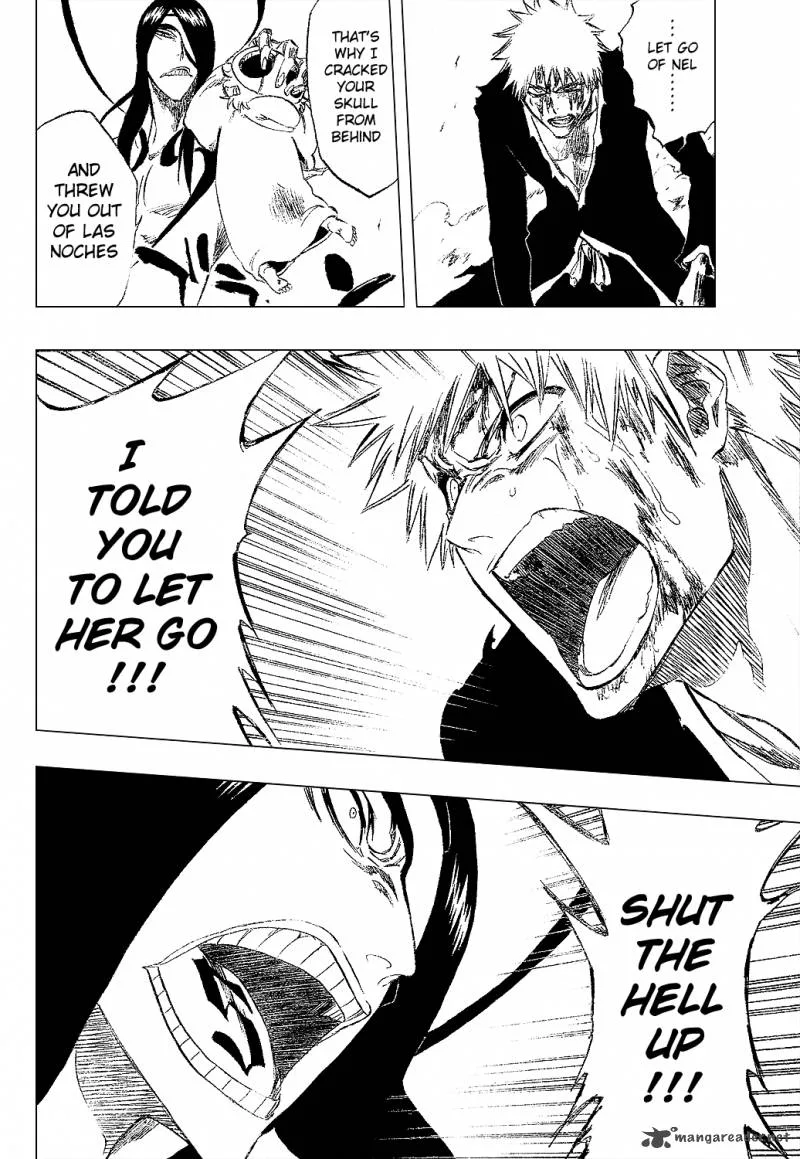 Bleach Chapter 290 page 17